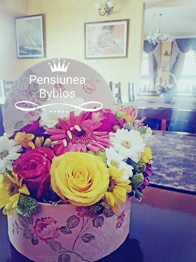 Pensiunea Byblos Piatra Neamţ Exterior foto